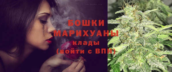 PSILOCYBIN Новокубанск