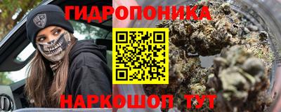 индика Балахна