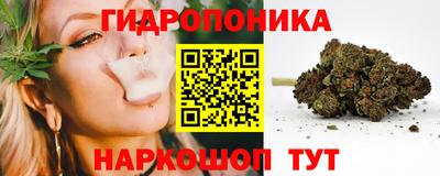 стаф Балаково