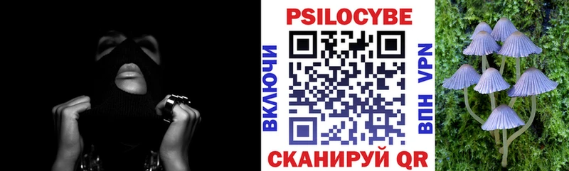 МЕГА ТОР  продажа наркотиков  Солнечногорск  Галлюциногенные грибы MAGIC MUSHROOMS 