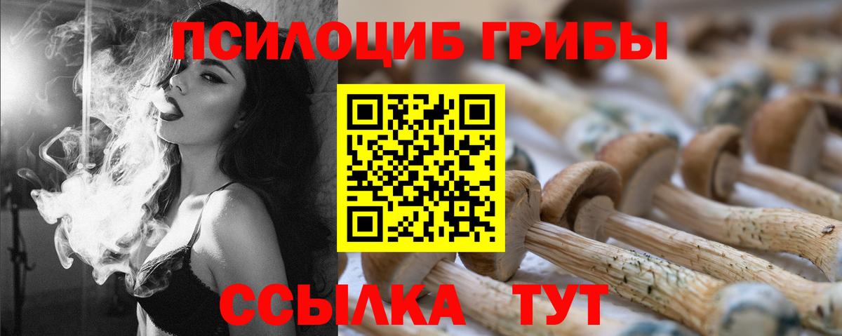 Псилоцибиновые грибы Psilocybine cubensis Солнечногорск