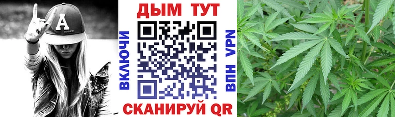 Конопля сатива  Солнечногорск 